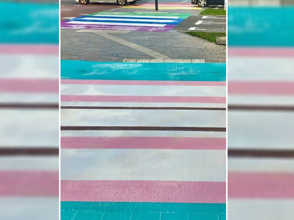 Multicoloured 'transgender crosswalk' debuts in Netherlands - Leduc Representative